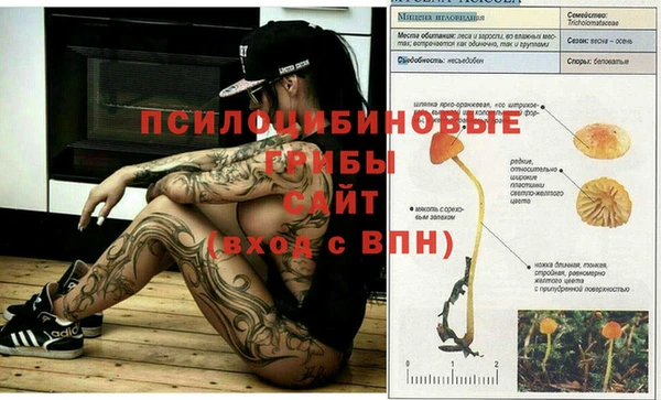 дживик Абаза