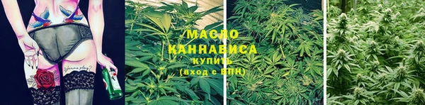 дживик Абаза