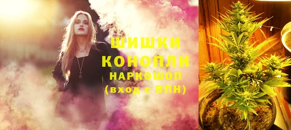 дживик Абаза