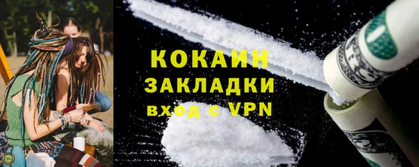 индика Алексин