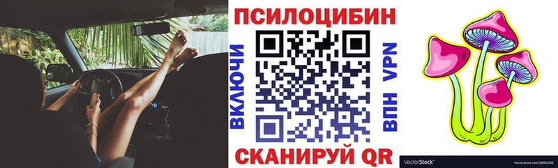 Псилоцибиновые грибы Psilocybe  нарко площадка телеграм  Щёлково 